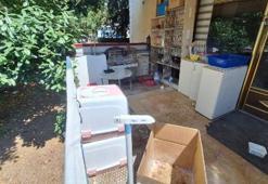 Pet shop katliamı! "Böyle bir olay hiç yaşamadım"