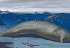 Dünyanın en ağır hayvanı keşfedildi: Tam 200 ton