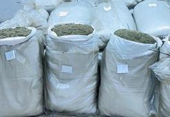 Edirne’de 720 kilo ‘damiana çayı’ ele geçirildi