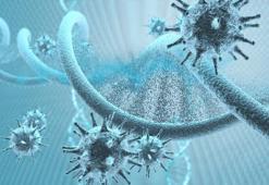 Eris Virüsü belirtileri: EG.5.1 Eris Varyantı nedir, öldürür mü, Covid 19 Varyantı Eris Türkiye’de var mı, Eris Virüsü yayılır mı?