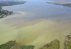 Küçükçekmece gölü'nde tehlike: Balıkçılık yasaklanmalı