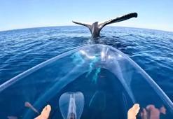 TikTok fenomeni ender olaya böyle denk geldi