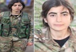 Mit'ten nokta operasyon! Vejin Jiyan' kod adlı Hicran İcuz öldürüldü