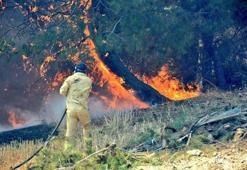 Çanakkale'de orman yangını! Yerleşim yerleri boşaltıldı