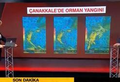 Çanakkale'deki orman yangınında dikkat çeken detay! Prof. Dr. Orhan Şen anlattı: Yangın şehir merkezine ilerleyecek mi?