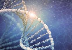 Türk bilim insanlarından müthiş keşif! Çocuklarda böbrek yetmezliğine neden olan yeni gen tanımlandı