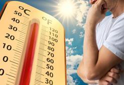 Aşırı sıcak havalar kısırlık yapıyor! Uzmandan dikkat çeken uyarılar geldi