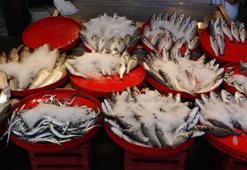 Balık sezonu açılıyor! Av yasağı kalkıyor: Balık bol olacak, fiyatlar düşecek