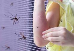 Sivrisinek ısırığı deyip geçmeyin komaya ve ölüme götürebilir! Özellikle hamileler için büyük risk