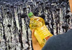 Ayçiçek yağı fiyatlarıyla ilgili flaş açıklama! Tarlayı kuraklık vurdu