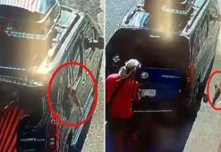 Kısırlaştırılmaya götürülen kedi, aracın camını başıyla kırıp kaçtı