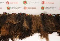 Havalimanlarında dikkat çeken saç operasyonu! 53 kilo ele geçirildi