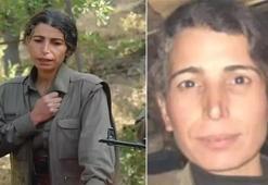 MİT'ten nokta operasyon! PKK'nın sözde ekonomi sorumlusu öldürüldü
