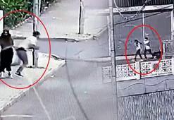 Diyarbakır'da 'Aport' operasyonu: 10 gözaltı