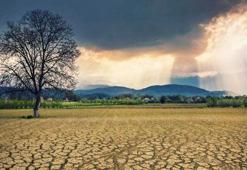 Burun akıntısı, gözlerde kaşınma, morarma, boğazda ağrı ve kaşıntı! Vaka sayıları artıyor, yaşam kalitesini düşüyor...