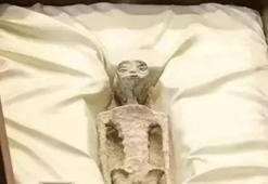 Uzaylıların görüntülerini ortaya çıktı! İnsan olmayan varlıkların cesetleri 1000 yıllık...