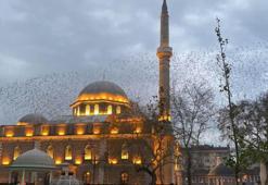 15 EYLÜL CUMA HUTBESİ | Cuma Hutbesinin konusu nedir? Cuma Hutbesi 15 Eylül 2023 konusu