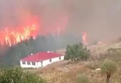 Adana, Bolu ve İzmir'de orman yangını