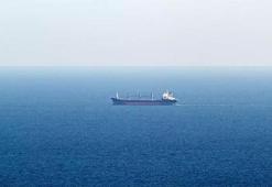 Yeni güzergahı kullanan ilk tahıl gemileri Ukrayna limanına demirledi