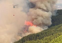 Antalya'da orman yangını! Havadan ve karadan müdahale sürüyor