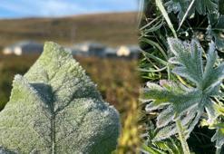 Türkiye yazı yaşarken Ardahan’da sıcaklık sıfırın altına düştü