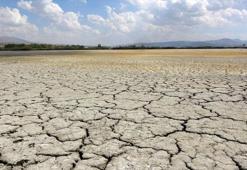 Kuraklık kuş cenneti Erçek Gölü’nün kıyı şeridini yok etti! 230 tür tehlike altında