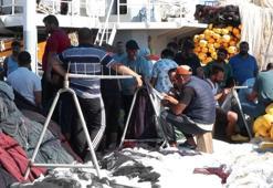 Balık fiyatları halde 20 lira tezgahta 100 lira! 5 katı fark balıkçıları isyan ettirdi: Fiyatları düşürün...