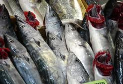 Sezonun ilk palamutları tezgahta! Fiyatıyla yüzleri güldürdü