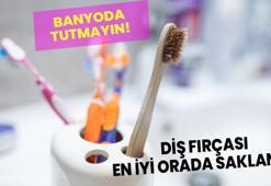 Diş fırçası en iyi orada saklanır! Diş hekimi açıkladı: Fırçayı banyoda tutmayın!