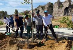 Birleşmiş Milletler Gönüllüleri'nden oluşan heyet Fatih’te ağaç dikti