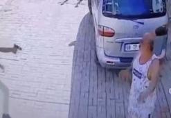 Site içinde dehşeti yaşadı! Saldırı anları saniye saniye kaydedildi...