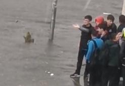 Meteoroloji son dakika kodu ile duyurdu! İstanbul dahil 43 ilde alarm verildi, çok şiddetli olacak