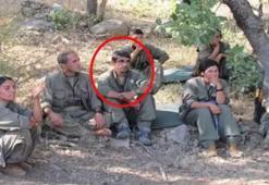 MİT'ten Kamışlı'da nokta operasyon! Terörist Müzdelif Taşkın öldürüldü