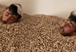 Sosyal medyadan paylaştı görüntüler tepki çekti! Üzerine tükürdüğü 2 ton fıstığa el konuldu