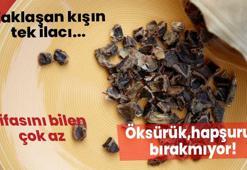 Yaklaşan kışın tek ilacı... Öksürük, hapşuruk bırakmıyor! Şifasını bilen çok az...