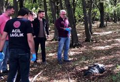 Koli bantlarıyla bağlanmış poşette ölü köpek bulundu