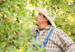 Şifa kaynağı! 'Hünnap tüketen doktora gitmiyor'