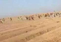 Hamas İsrail'e dehşeti yaşattı! Çöldeki müzik festivaline militan saldırısı