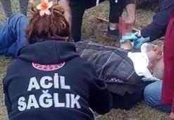 Köye inen ayı tarladaki yaşlı adama dehşeti yaşattı!