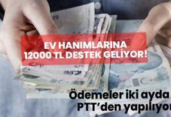 Ev hanımlarına aylık 6 bin TL sosyal destek geliyor! Ödemeler iki ayda bir PTT'den alınıyor! İşte başvuru şartları