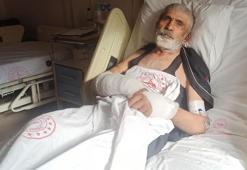 Ayının saldırısına uğrayan yaşlı adam dehşete düşüren o anları anlattı: Korku ve acıdan ayının ağzına elimi soktum ve dilini sıktım