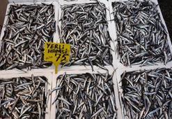 2 milyon dolar döviz hamsi ile geldi! İlk sırada Fransa ve Belçika var