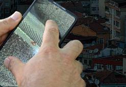 Şikayetler arttı! Herkes uyuduktan sonra ortaya çıkıyor