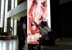 İstanbul kültür sanata doydu