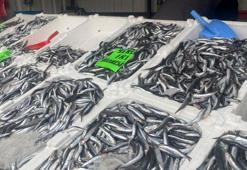 Fiyatlar düşüşe geçti vatandaşlar akın etti! İşte tezgahların en ucuz balığı