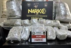 Piyasa değeri 100 milyon lira olan 161 kilo skunk ele geçirildi! Valilik açıklama yaptı