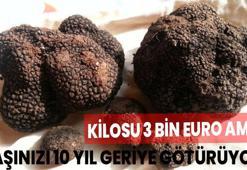 Kilosu 3 bin euro ama kanseri bitiriyor! Cilt sağlığı için eşi bulunmuyor