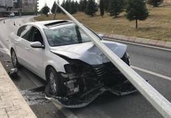Sivrisinek kazaya sebep oldu! Şok eden olay