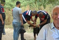 Korhan Berzeg'in kaybolmasıyla ilgili ekiplerden yeni açıklama! "Gizemli bir durum var"