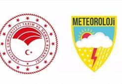 Meteoroloji Genel Müdürlüğü 48 sözleşmeli personel alımı yapacak!